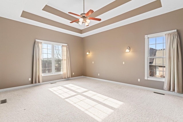 unfurnished room with a healthy amount of sunlight, carpet, and a raised ceiling