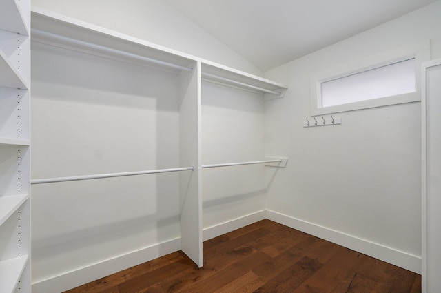 walk in closet featuring vaulted ceiling and dark wood finished floors