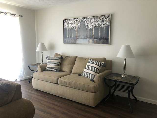 living area featuring baseboards and dark wood-type flooring