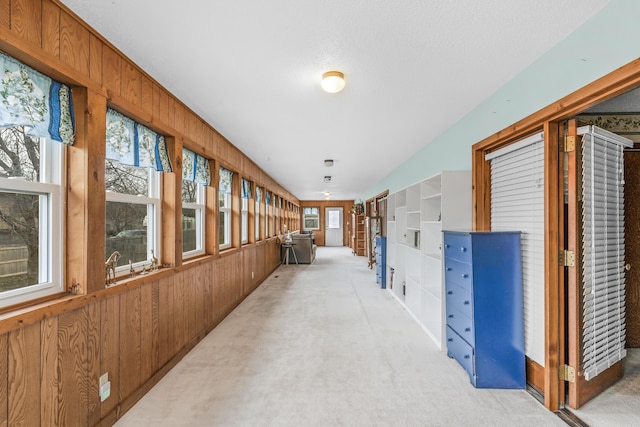 hall featuring wooden walls and light colored carpet