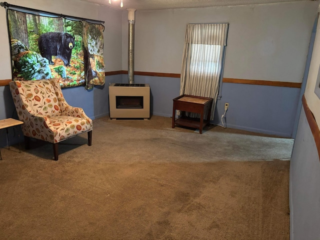 living area featuring carpet, a wood stove, a textured ceiling, and heating unit