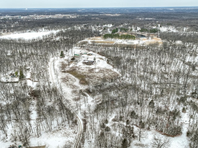 view of snowy aerial view