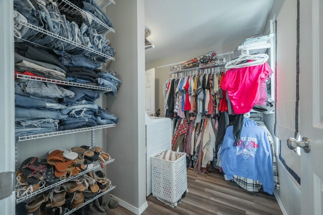 walk in closet featuring wood finished floors