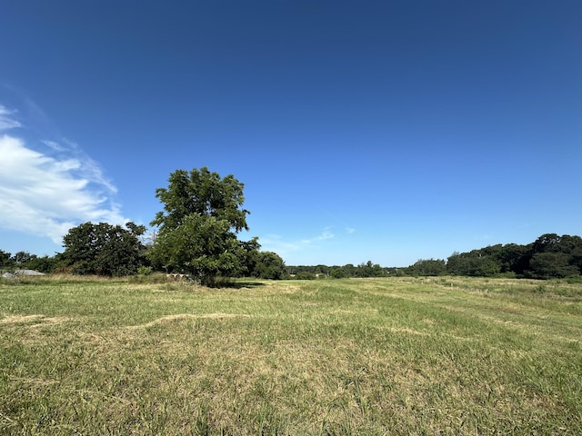 view of local wilderness featuring a rural view