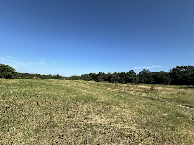 view of nature featuring a rural view