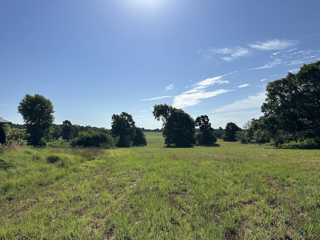 view of landscape featuring a rural view