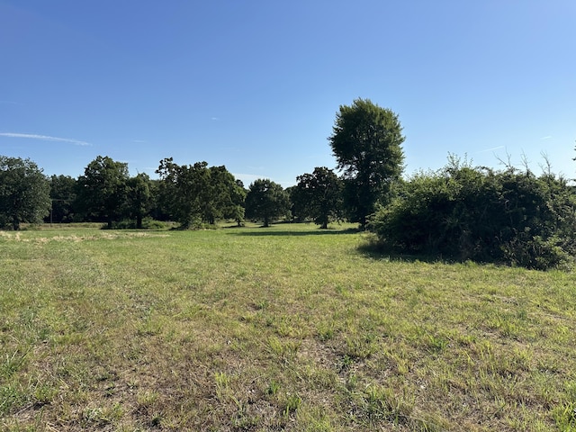 view of local wilderness featuring a rural view