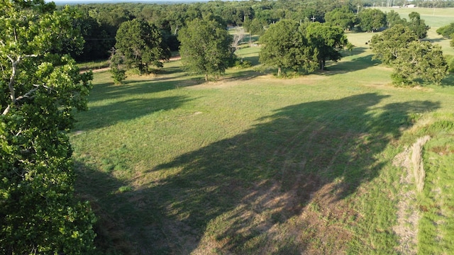 view of yard with a rural view