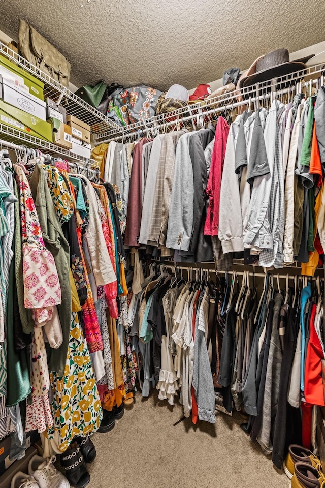 spacious closet featuring carpet