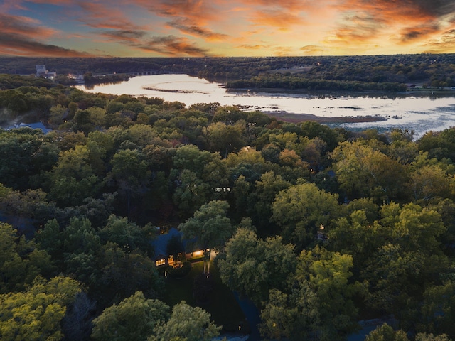 drone / aerial view featuring a water view and a wooded view