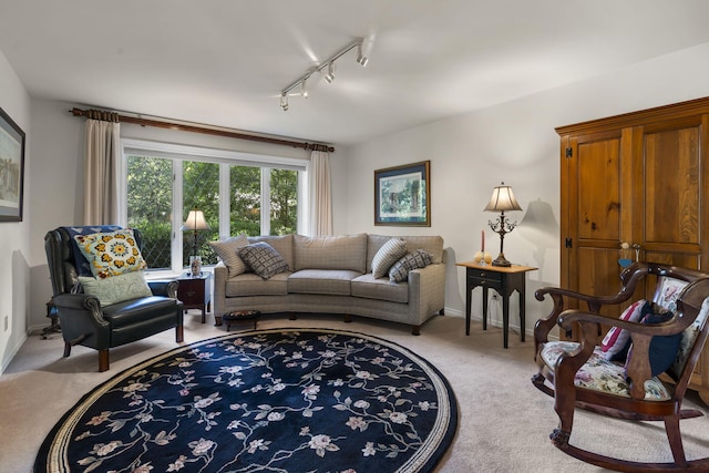 living area with baseboards, track lighting, and light colored carpet