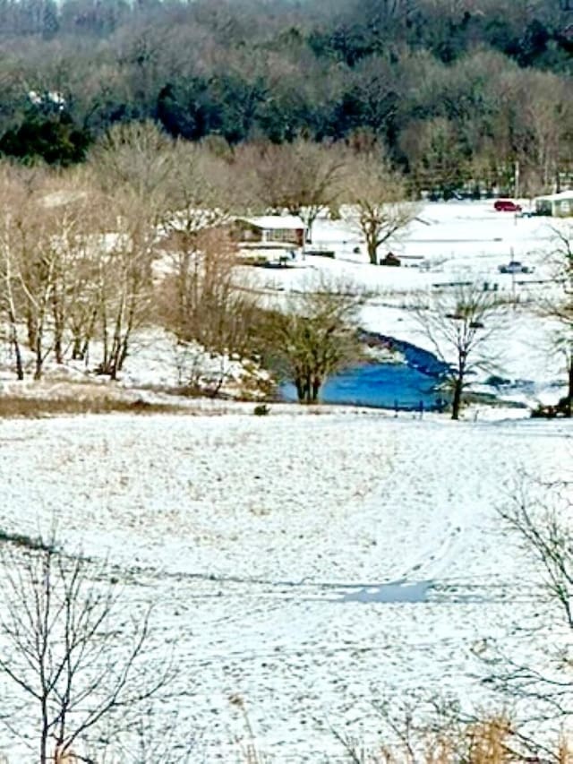 view of snowy yard