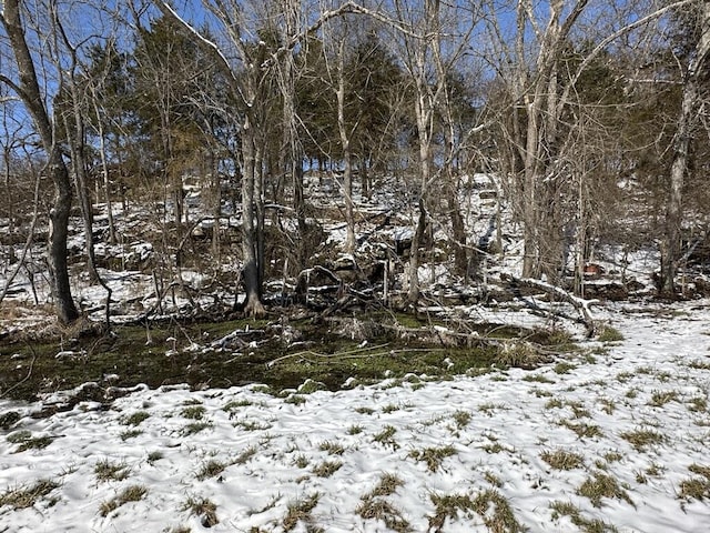 view of snow covered land