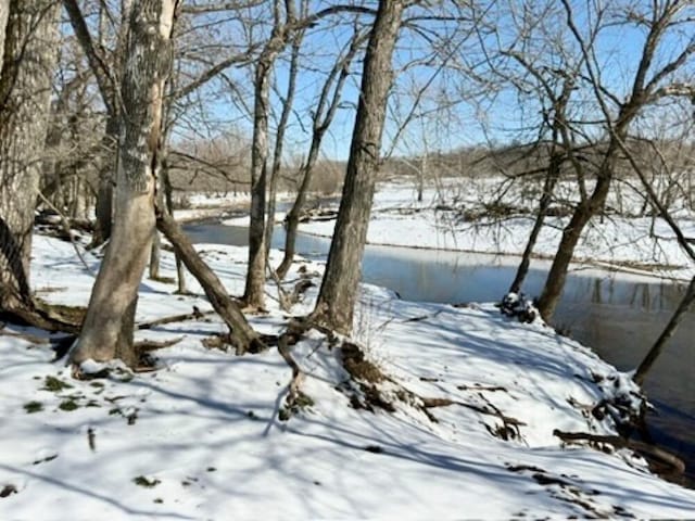 view of yard covered in snow