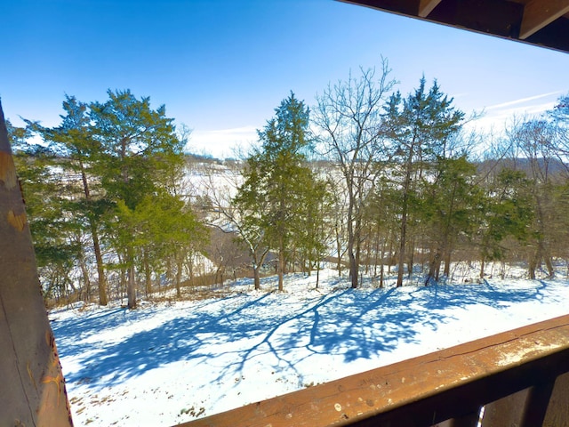 view of snowy yard