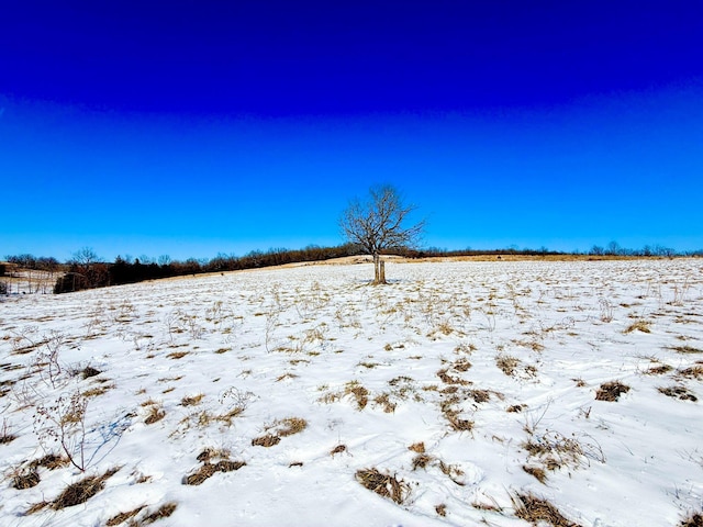 view of yard layered in snow