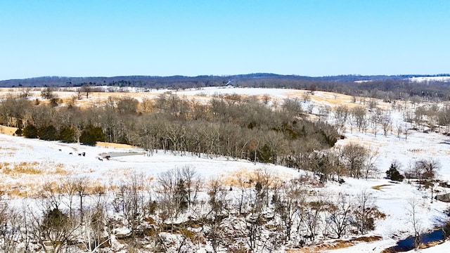 view of mountain feature