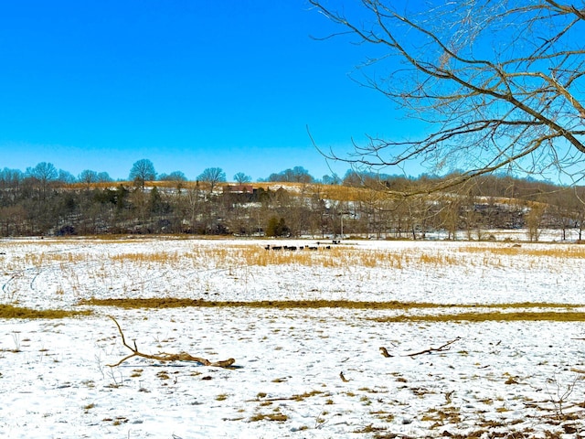 view of yard layered in snow