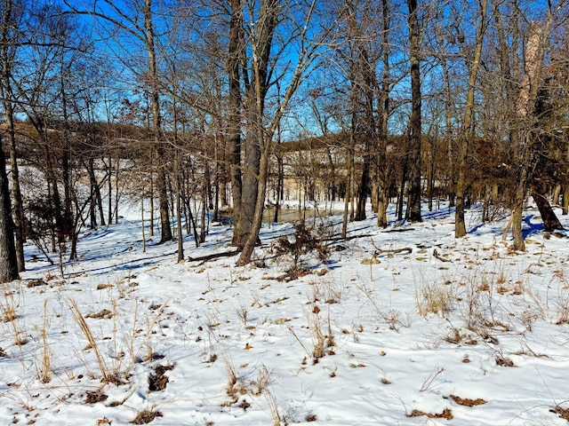 view of snowy yard