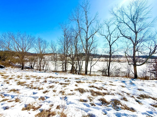 view of yard covered in snow