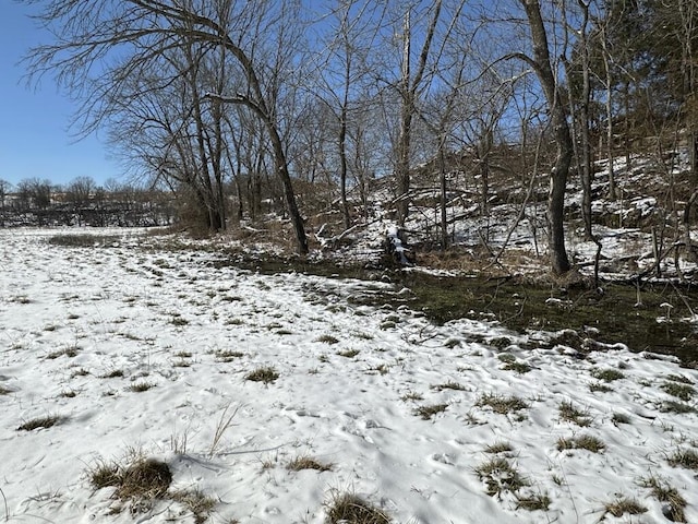 view of snow covered land