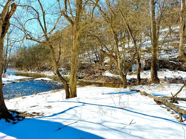 view of snowy yard