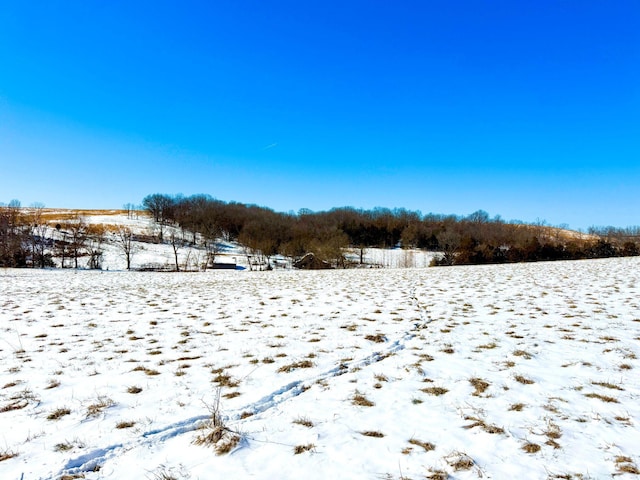 view of yard layered in snow