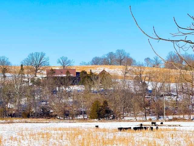 view of snowy yard