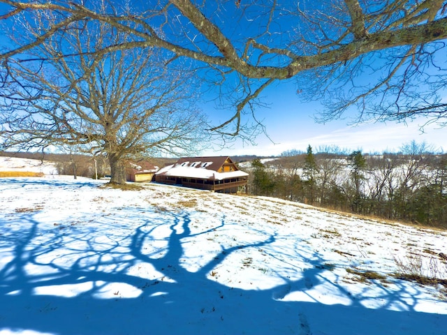 view of snowy yard