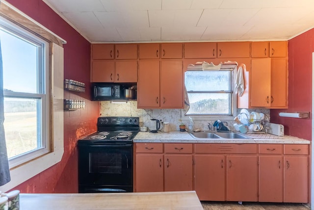 kitchen with light countertops, black appliances, and a sink