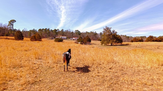 view of local wilderness featuring a rural view