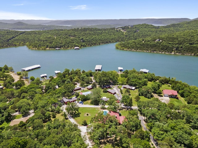 drone / aerial view with a water view and a view of trees