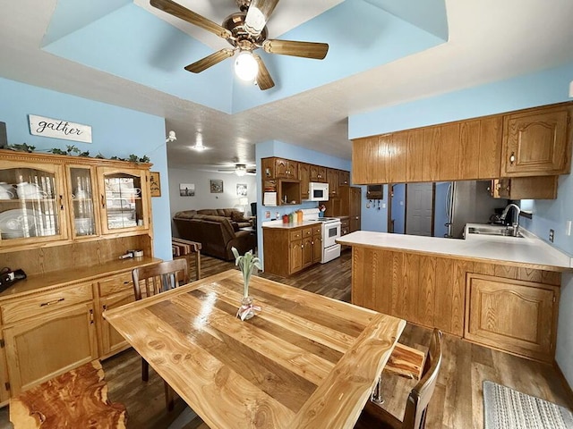 dining room featuring a raised ceiling, dark wood finished floors, and a ceiling fan