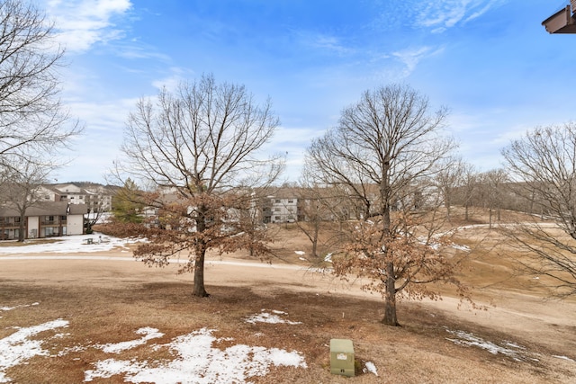187 Clubhouse Dr Unit 19, Branson, MO 65616 - view of snowy yard