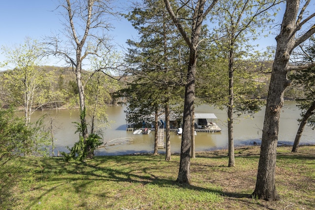 99 Shady Place Ln, Blue Eye, MO 65611 - photo 45