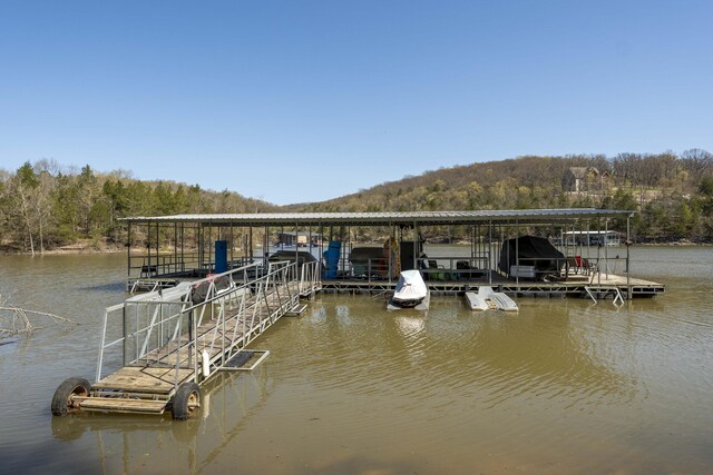 99 Shady Place Ln, Blue Eye, MO 65611 - photo 48
