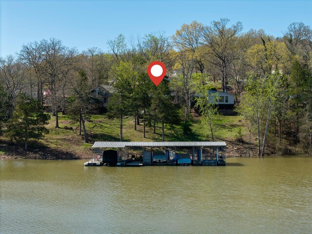 99 Shady Place Ln, Blue Eye, MO 65611 - photo 49
