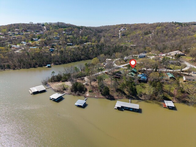 99 Shady Place Ln, Blue Eye, MO 65611 - photo 51