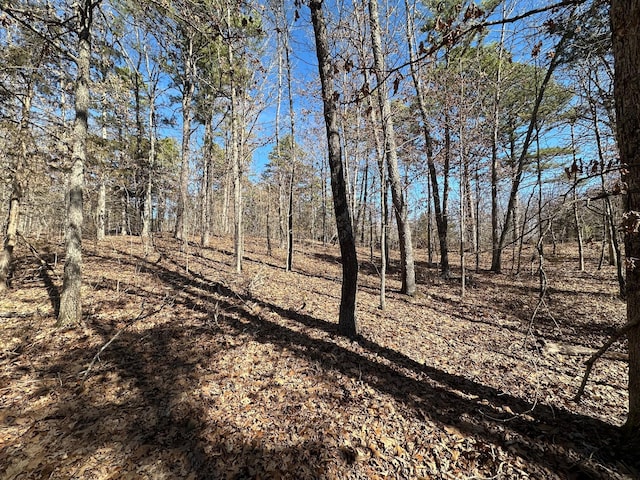 000 Whispering Pines Ln, Licking, MO 65542 - photo 1