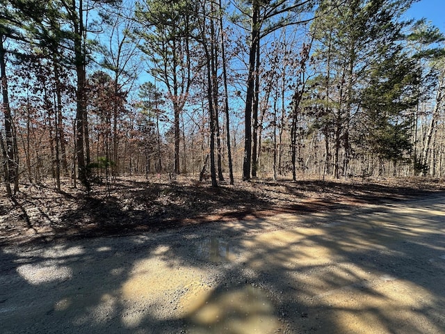 000 Whispering Pines Ln, Licking, MO 65542 - photo 6