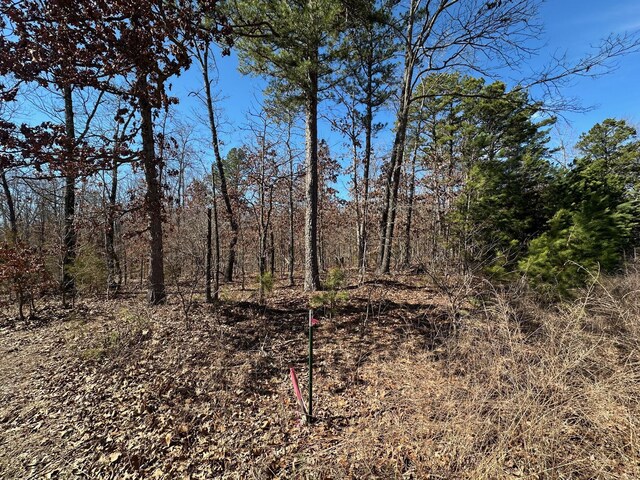 000 Whispering Pines Ln, Licking, MO 65542 - photo 18