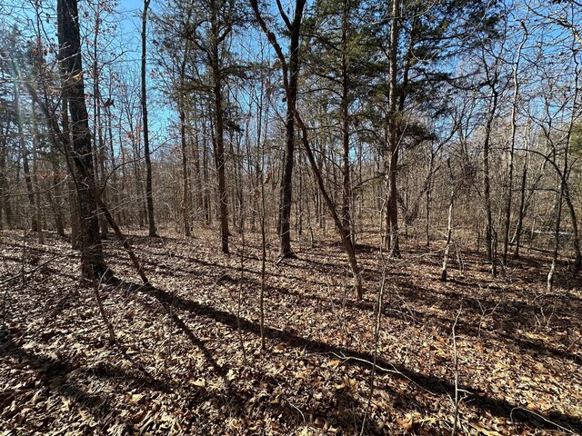 000 Whispering Pines Ln, Licking, MO 65542 - photo 13