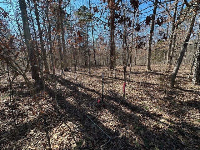 000 Whispering Pines Ln, Licking, MO 65542 - photo 22