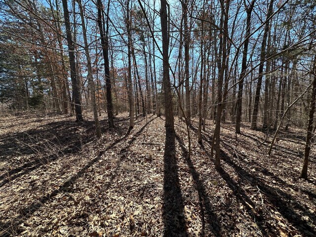 000 Whispering Pines Ln, Licking, MO 65542 - photo 3