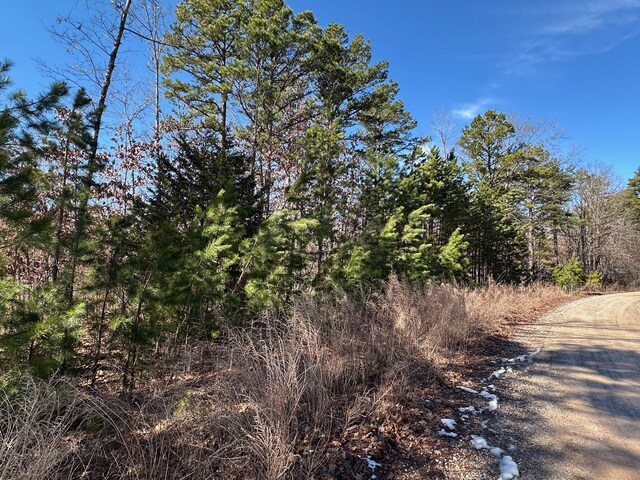 000 Whispering Pines Ln, Licking, MO 65542 - photo 20