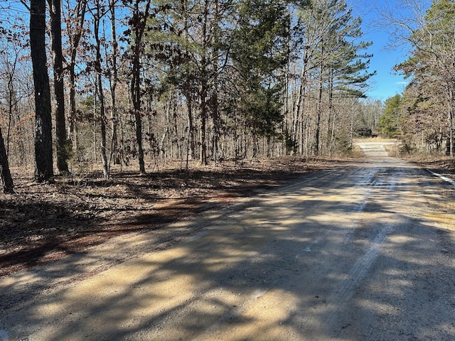 000 Whispering Pines Ln, Licking, MO 65542 - photo 4