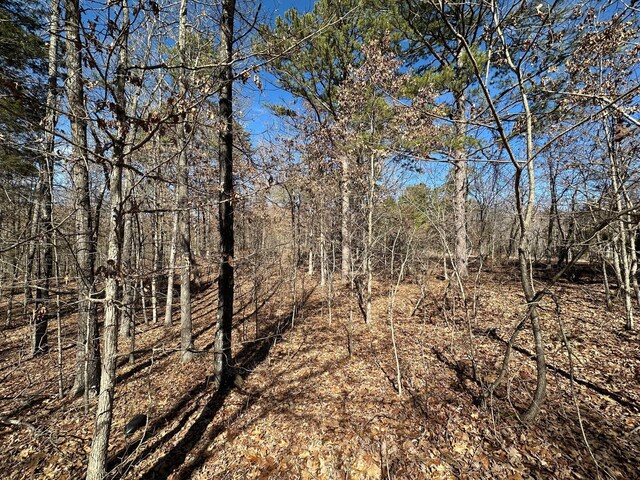 000 Whispering Pines Ln, Licking, MO 65542 - photo 14
