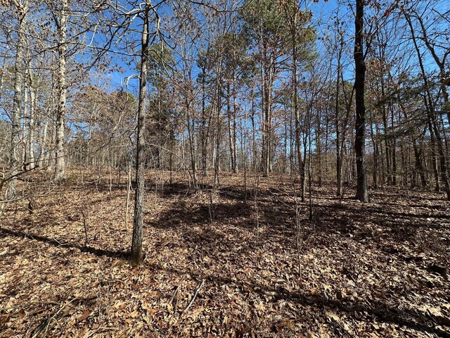 000 Whispering Pines Ln, Licking, MO 65542 - photo 7