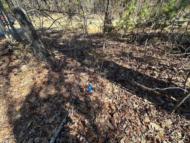 000 Whispering Pines Ln, Licking, MO 65542 - photo 21