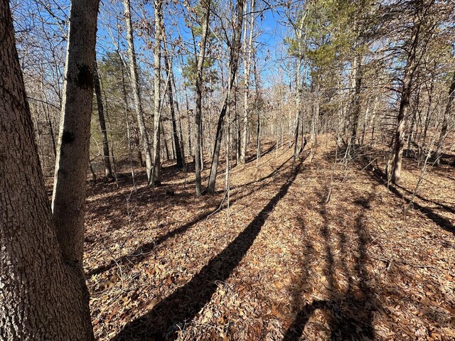 000 Whispering Pines Ln, Licking, MO 65542 - photo 12